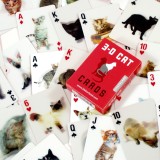 Carte 3D Gatti