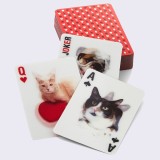 Carte 3D Gatti