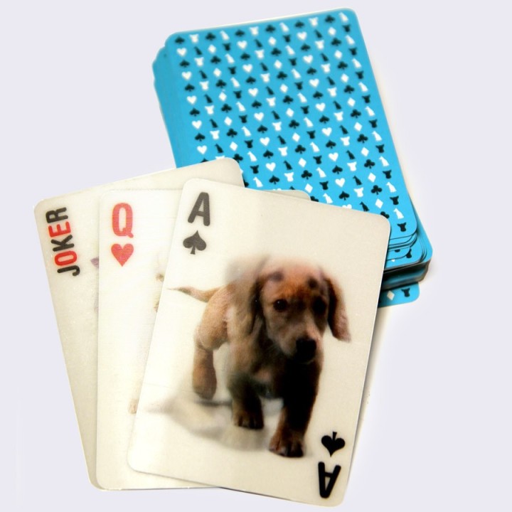 Carte 3D Cani