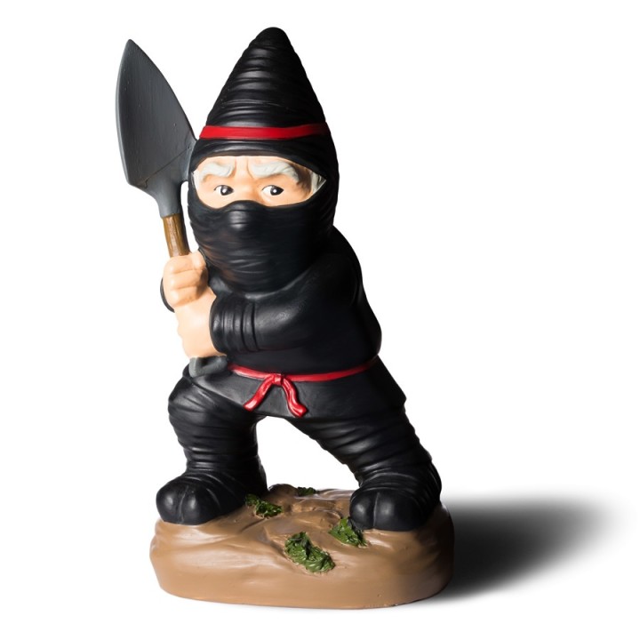 Nano da giardino Ninja