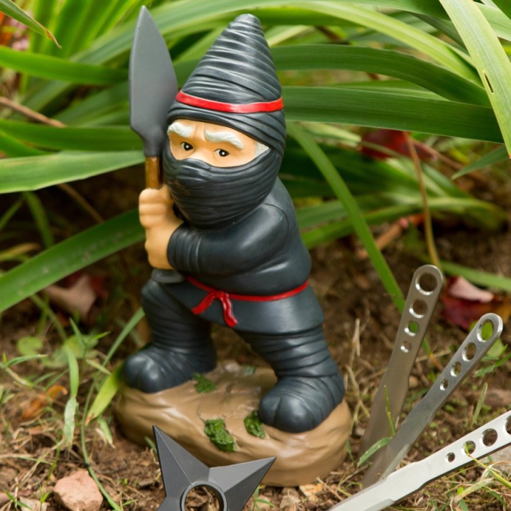 Nano da giardino Ninja