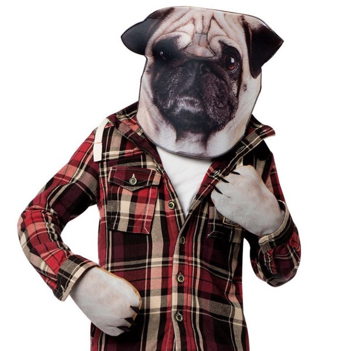 Costume Cane