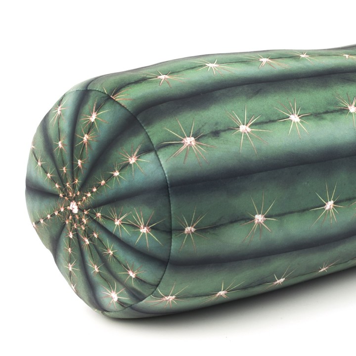 Cuscino Cactus 