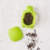 Infusore Tartaruga
