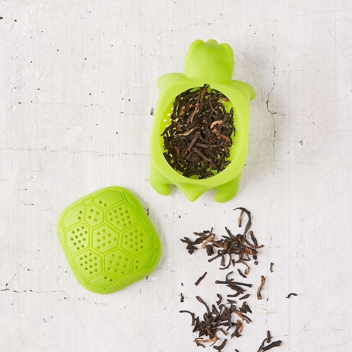 Infusore Tartaruga