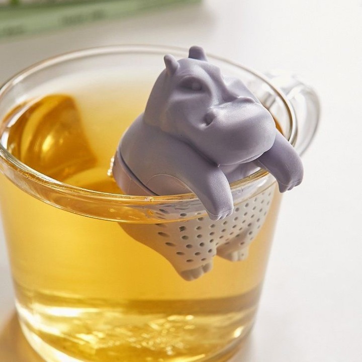 Infusore Ippopotamo