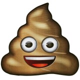 Tappetino Poo