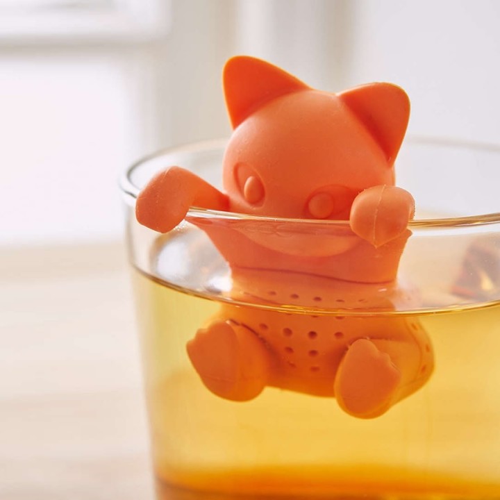 Infusore Gattino