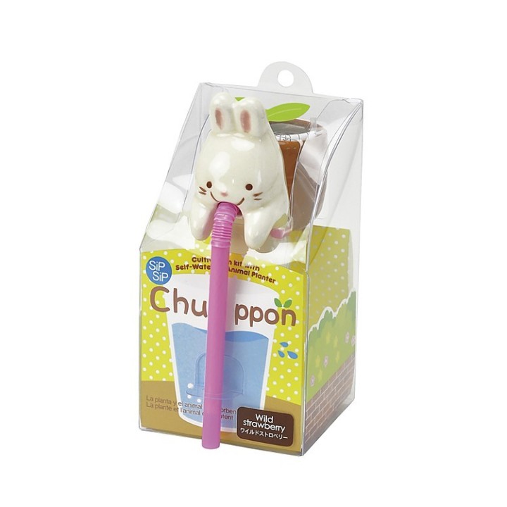 Chuppon - Animaletti che bevono dalla cannuccia