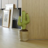 Cactus Fermaporta