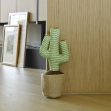 Cactus Fermaporta