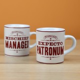 Tazzine degli incantesimi - Harry Potter