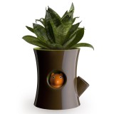 Vaso Scoiattolo