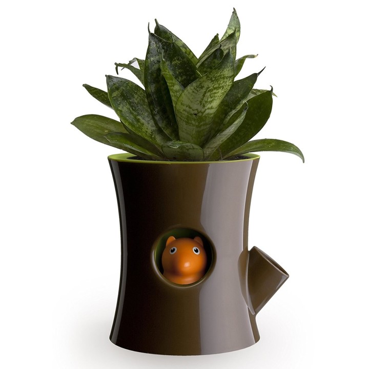 Vaso Scoiattolo