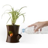 Vaso Scoiattolo