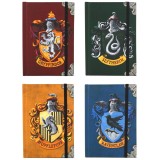 Agende case di Hogwarts