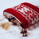 Fiaschetta di Natale