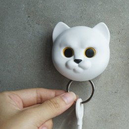 Gatto Appendichiavi