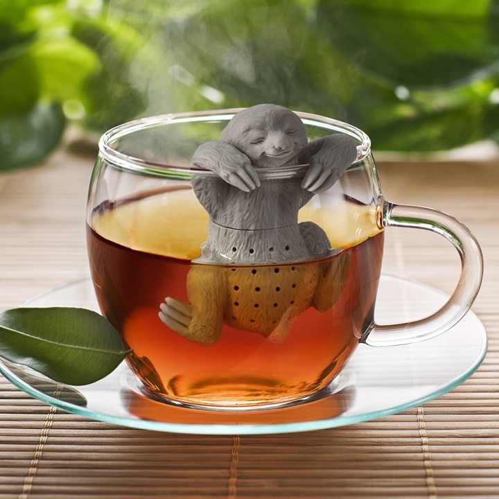 Infusore Bradipo