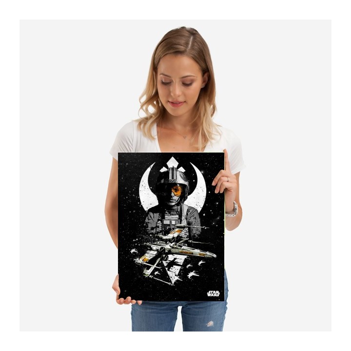 Targa Star Wars Luke X-Wing