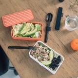 Lunch box Sushi