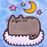 Borsa acqua calda Pusheen