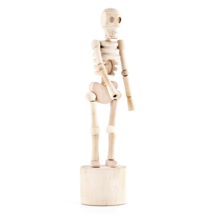 Scheletro di legno