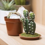 Cactus con nascondiglio segreto