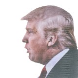 Adesivo da finestrino – Donald Trump