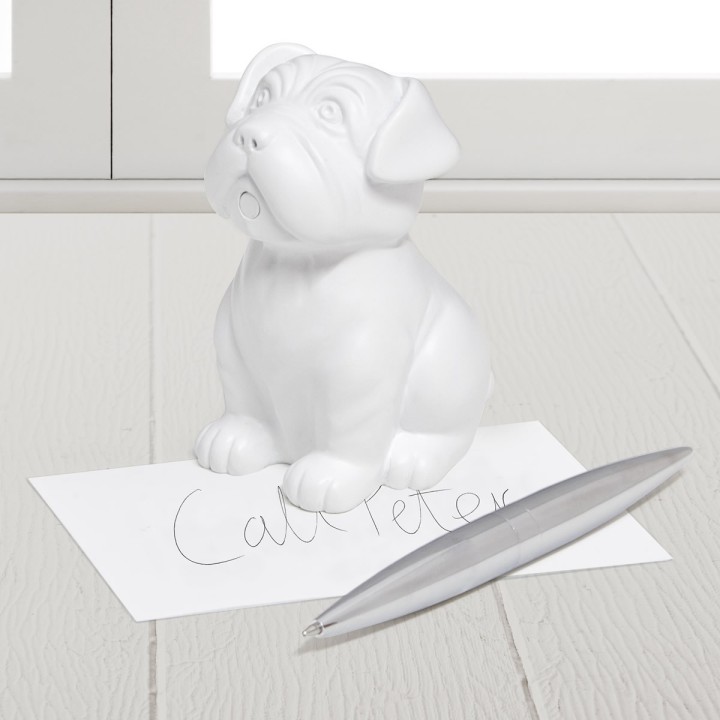 Cane Portapenne
