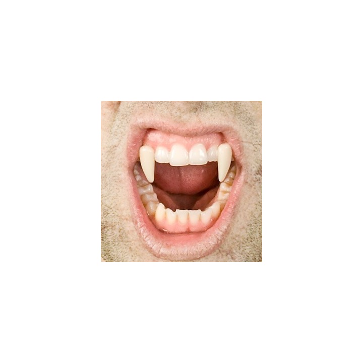 Special FX Fangs: Denti da Vampiro retrattili