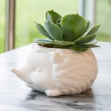 Mini vaso Riccio