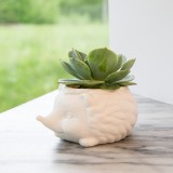 Mini vaso Riccio