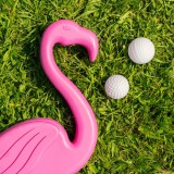 Flamingolf