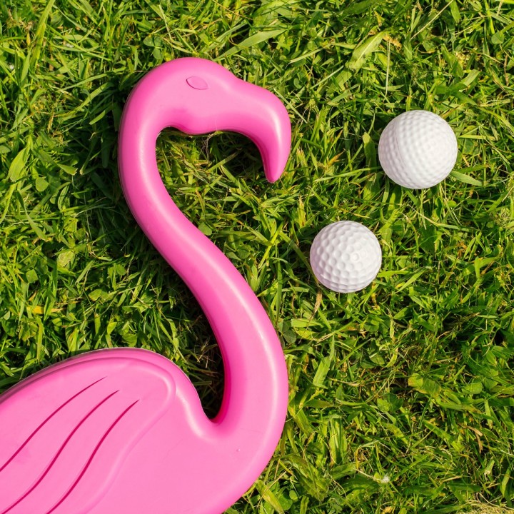 Flamingolf