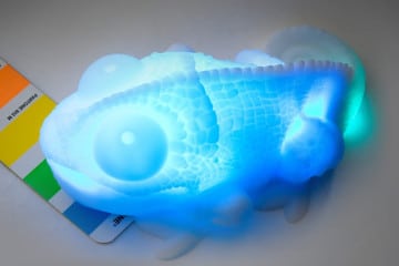 Lampada camaleonte