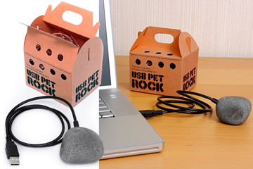 Pet Rock USB