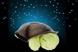 Tartaruga Stellare Tartaruga Stellare
