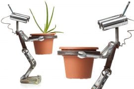GRO-BOT: il robot porta vaso robot-portavaso