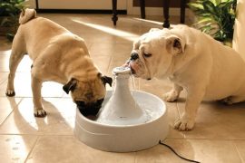 Drinkwell 360, la fontanella per animali drinkwell-360