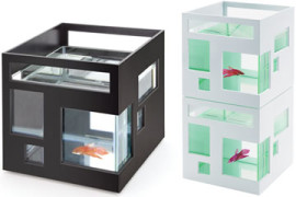 Acquario FishHotel Acquario FishHotel