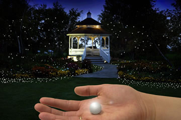 Fairy Berries, le palline luminose