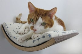 Lettino da parete per gatti Lettino da parete per gatti