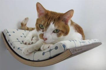 Lettino da parete per gatti