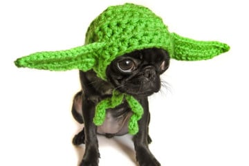 Cappellino di Yoda fatto a maglia… per animali!