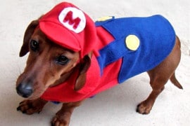 Costume di Super Mario canino costume-super-mario-per-cani