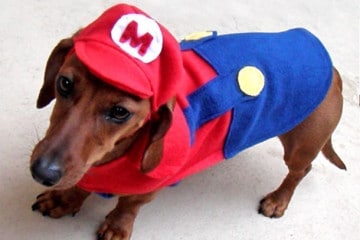 Costume di Super Mario canino