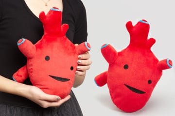 Un vero cuore… di peluche
