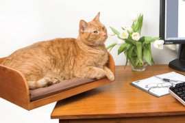 Cat Seat, il gatto con te anche mentre lavori Cat Seat, il gatto con te anche mentre lavori