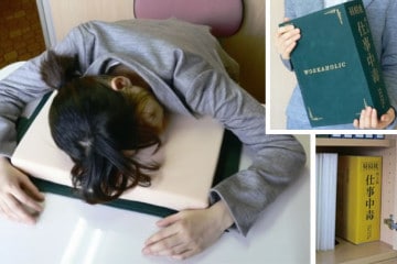 Libro cuscino